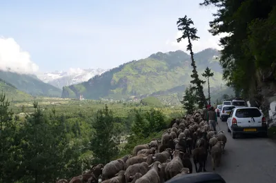 Manali to Leh, day one