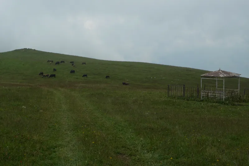 Wild, wild Armenia — 8