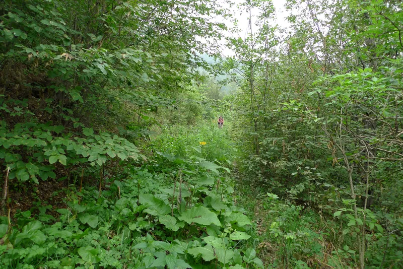 Wild, wild Armenia — 11