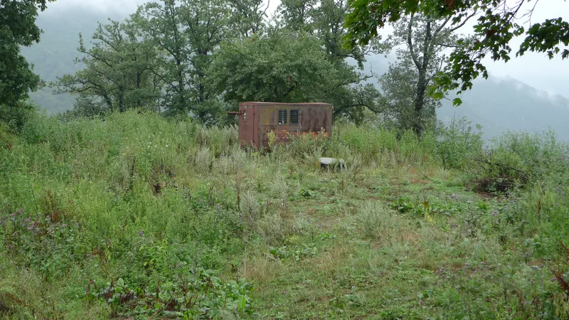 Wild, wild Armenia — 13