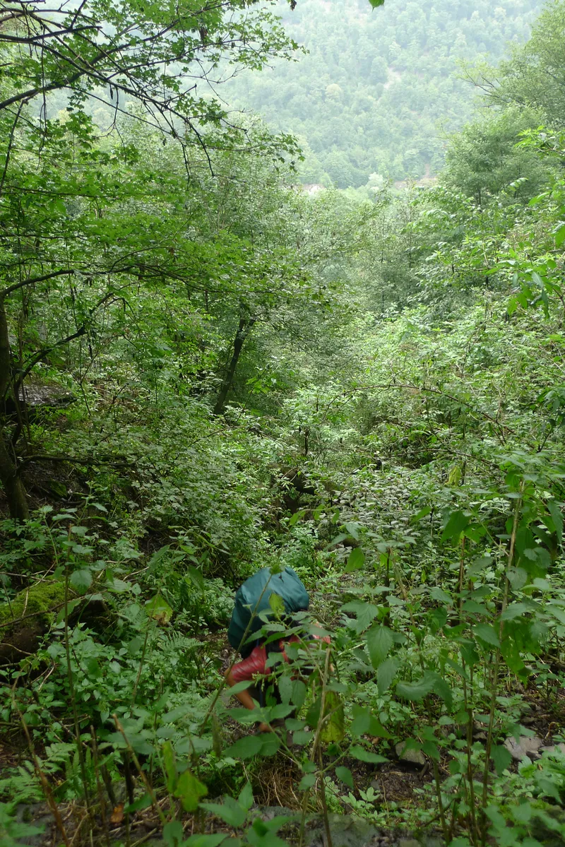 Wild, wild Armenia — 14