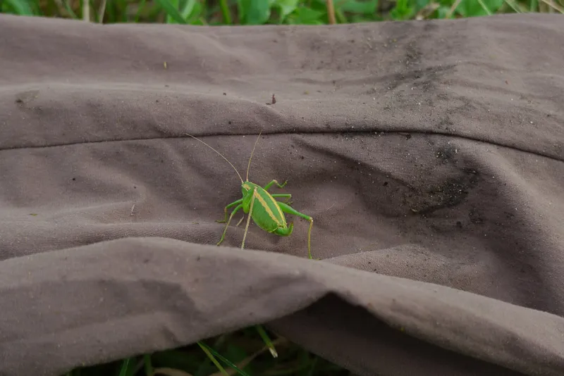 Wild, wild Armenia — 20