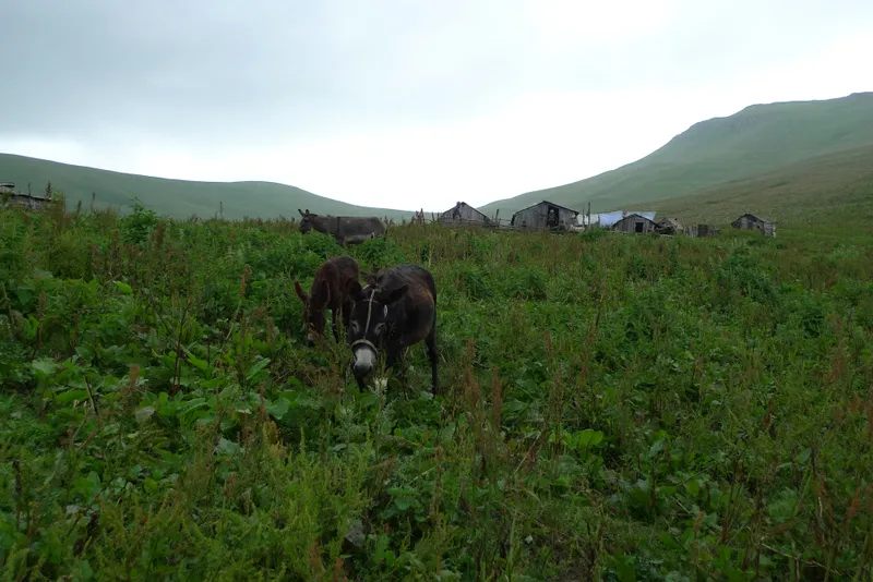 Wild, wild Armenia — 32