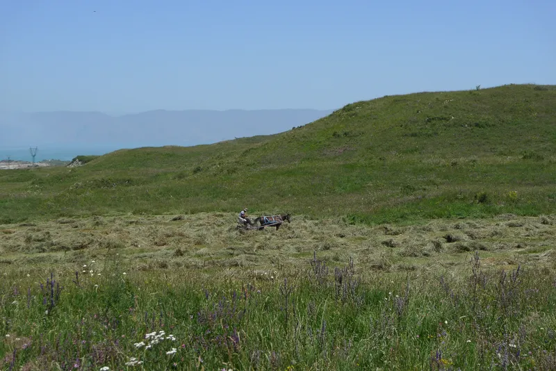 Wild, wild Armenia — 44
