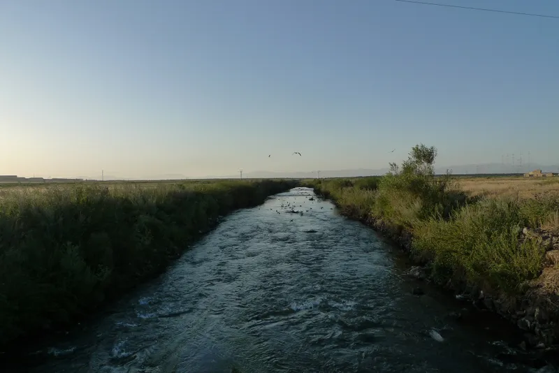 Wild, wild Armenia — 47