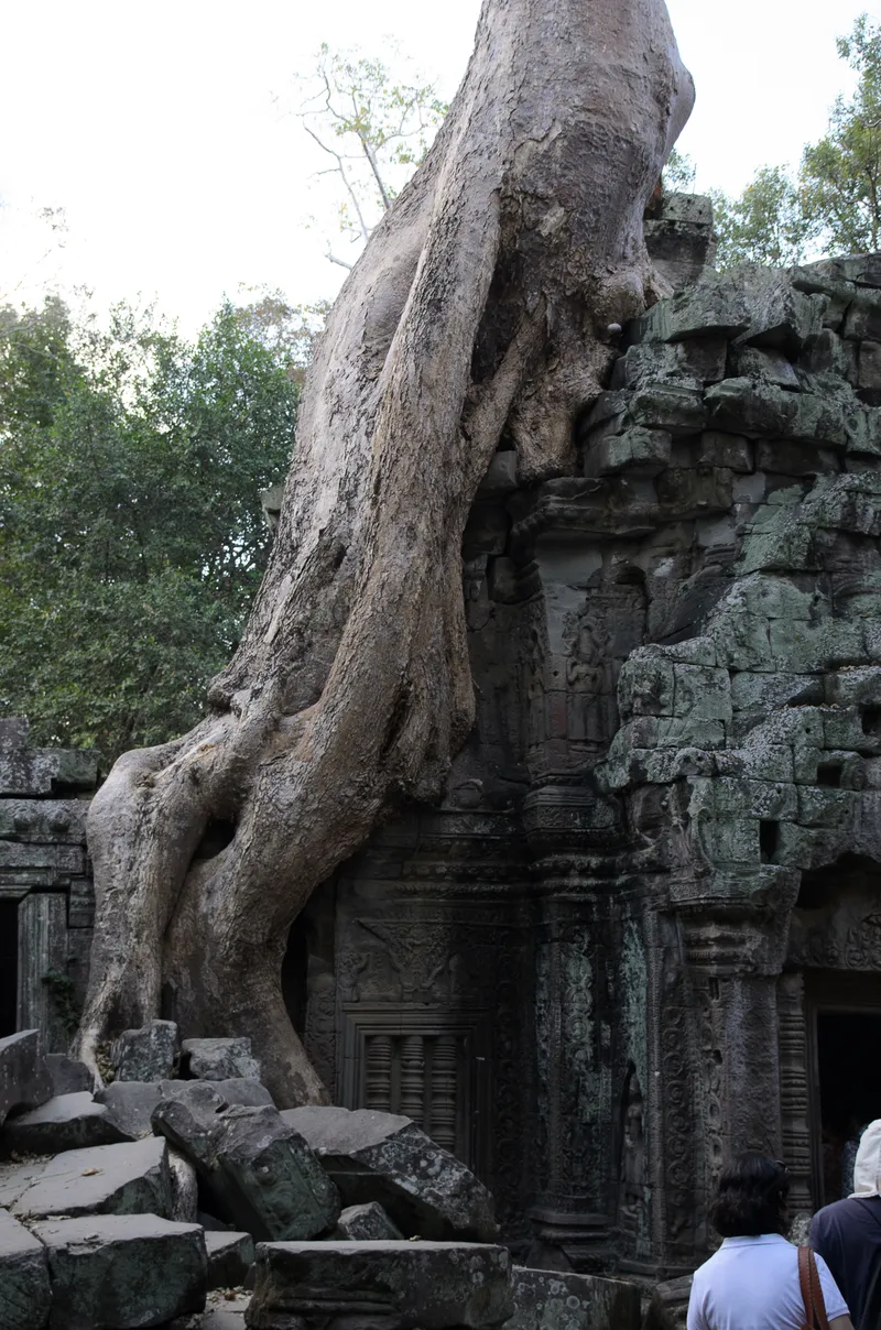 Angkor Wat — 10