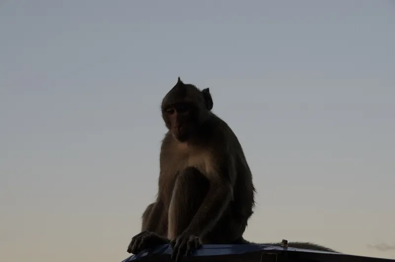 Cambodia: Battambang — 14