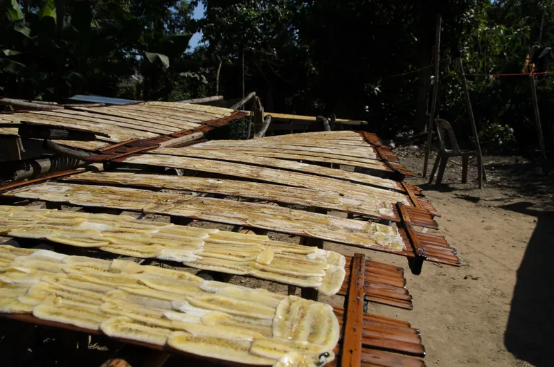 Cambodia: Battambang — 21