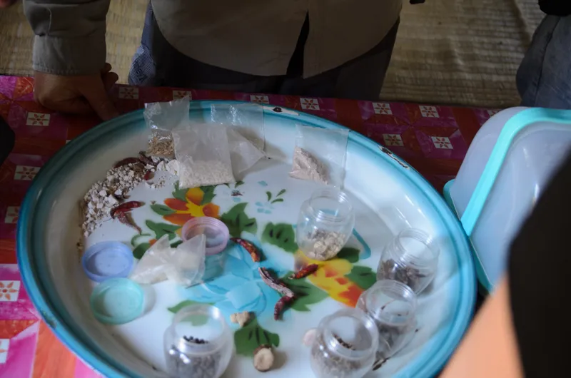 Cambodia: Battambang — 22