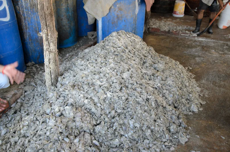 Cambodia: Battambang — 24