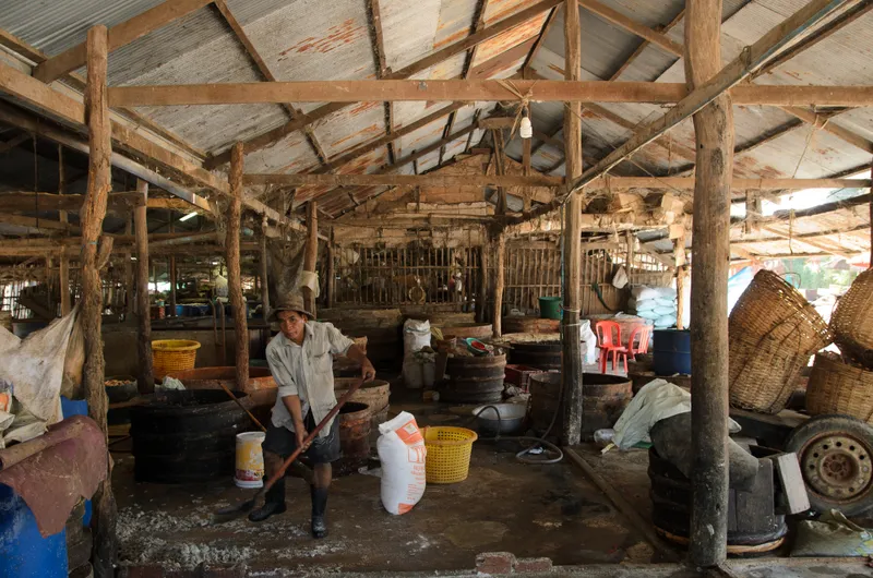 Cambodia: Battambang — 25