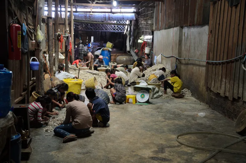 Cambodia: Battambang — 26