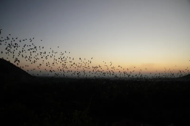 Cambodia: Battambang — 30