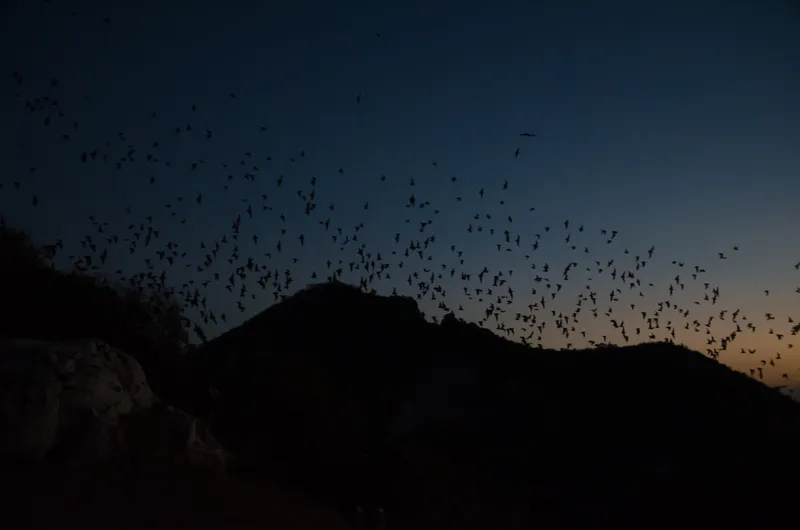 Cambodia: Battambang — 32