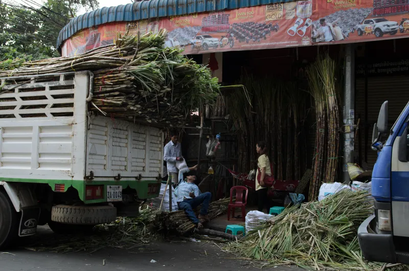 Cambodia: Phnom Penh — 12