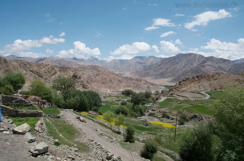 Hemis festival — 3