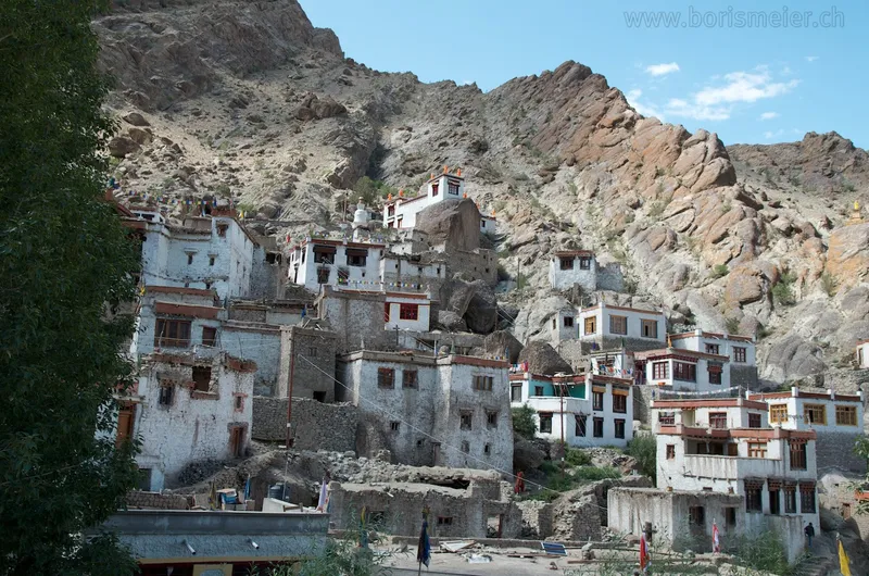 Hemis festival — 22