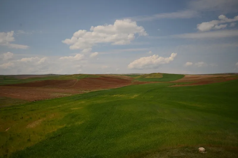 Istanbul to Tehran — 8