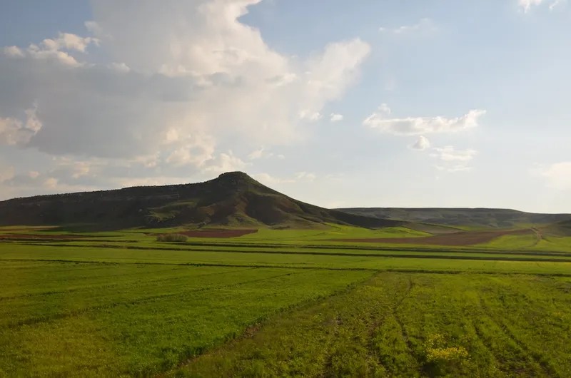 Istanbul to Tehran — 15