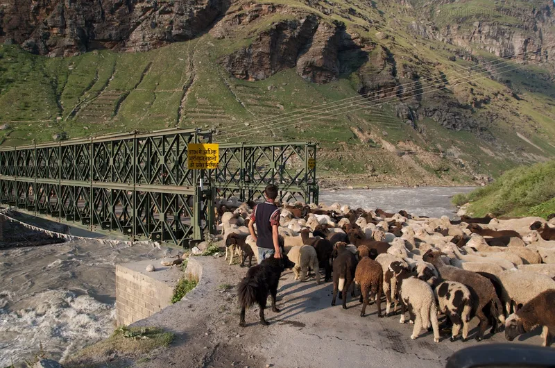 Manali to Leh, day one — 32