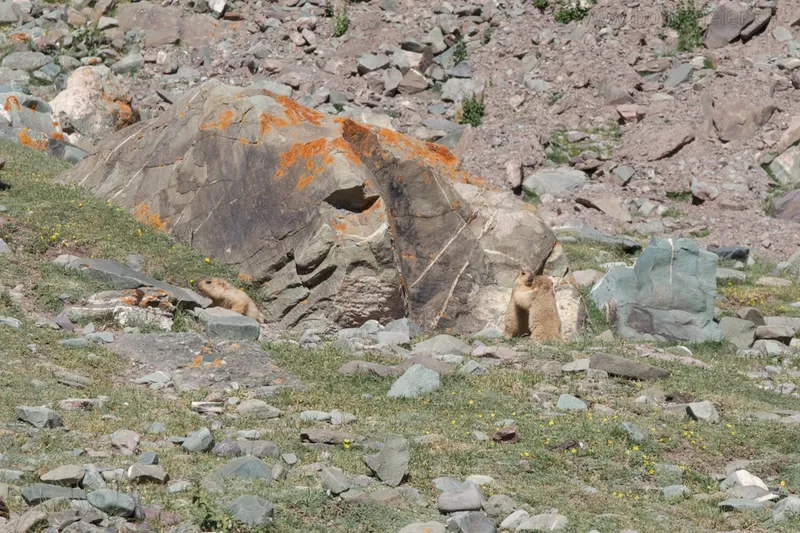 Stok Kangri (6137m) — 3