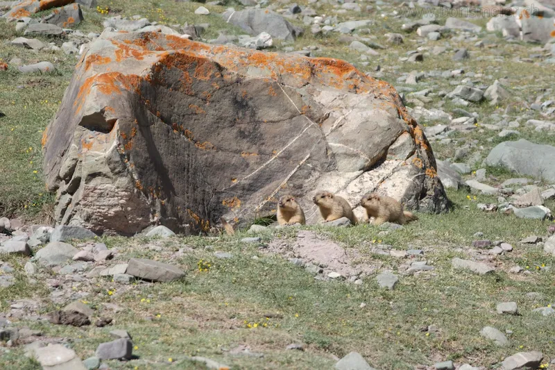 Stok Kangri (6137m) — 4