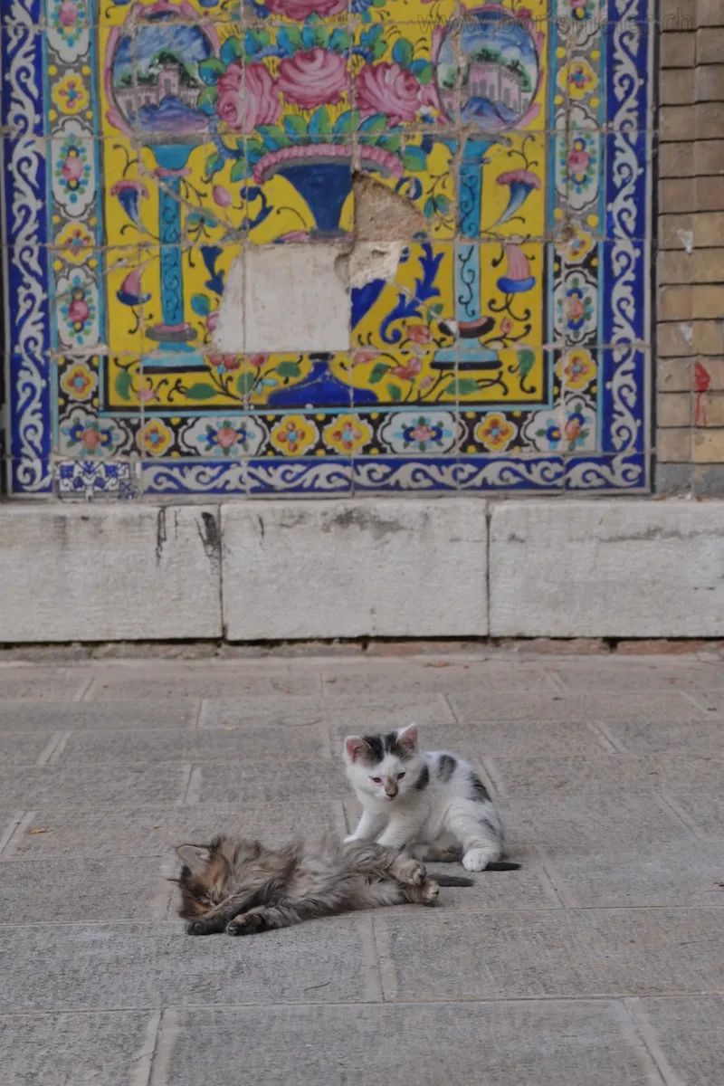 Tehran: Golestan Palace — 5